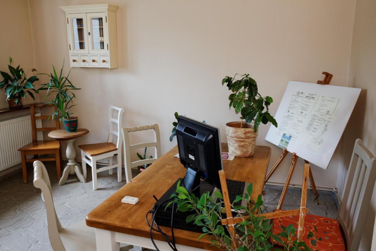 Pension Stejeris Brasov Exterior photo